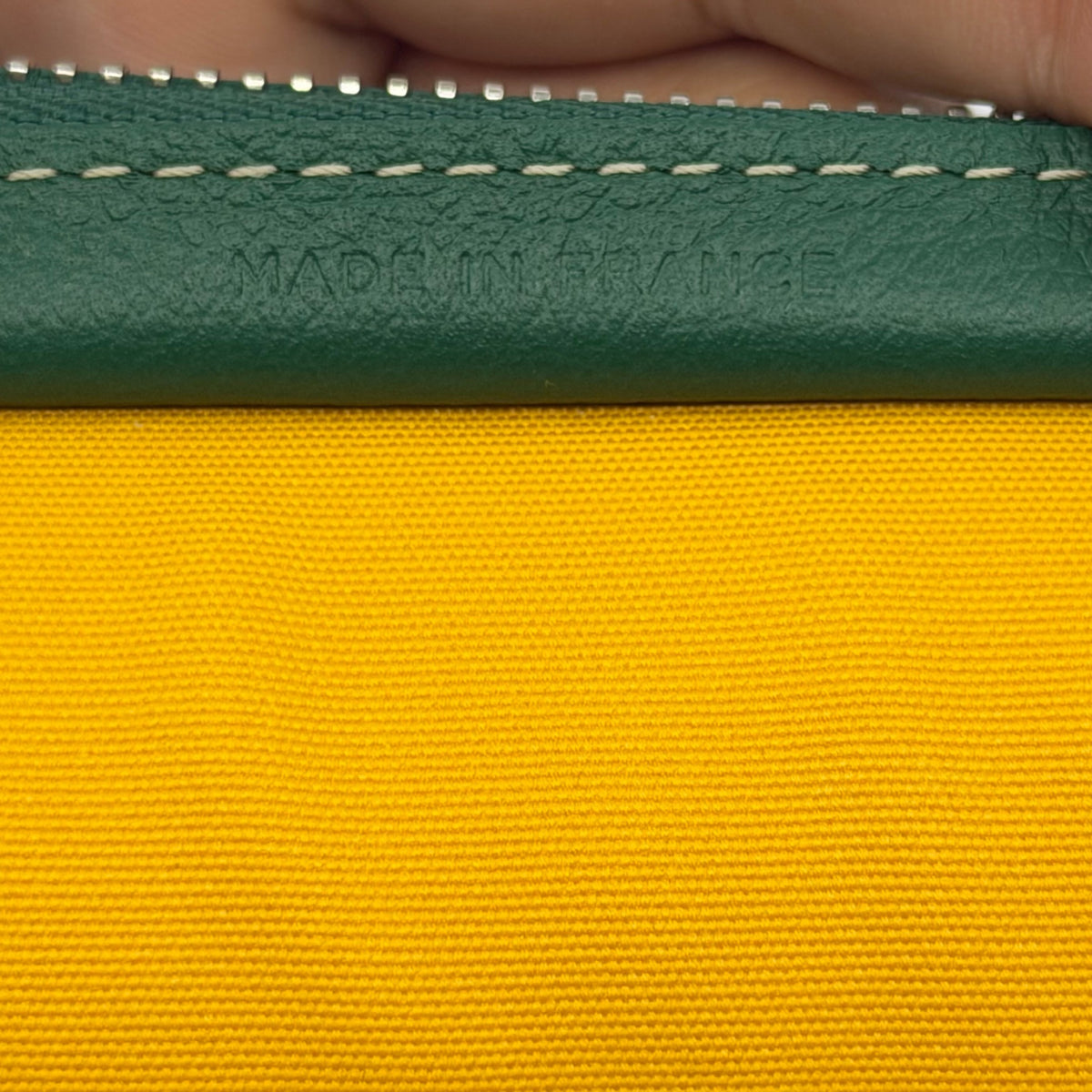 Goyard Jouvence GM Green