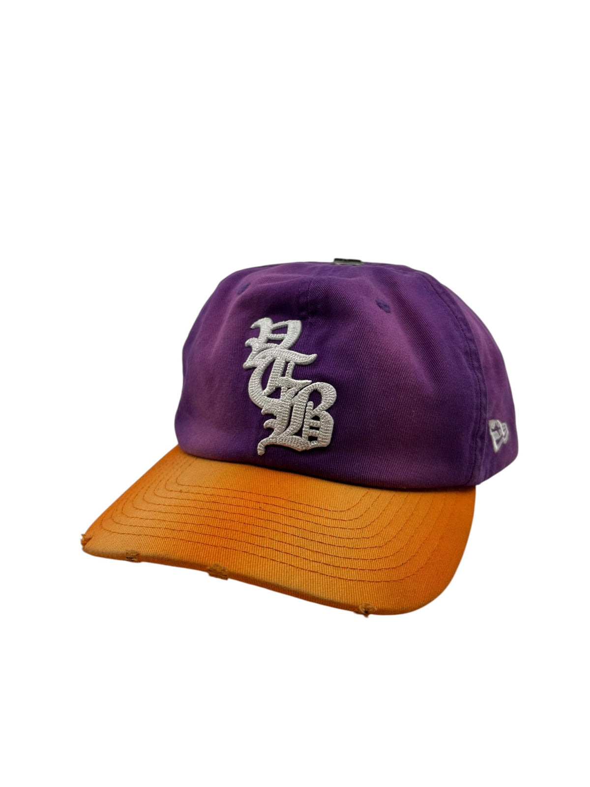 Vertabrae Logo Snapback Purp
