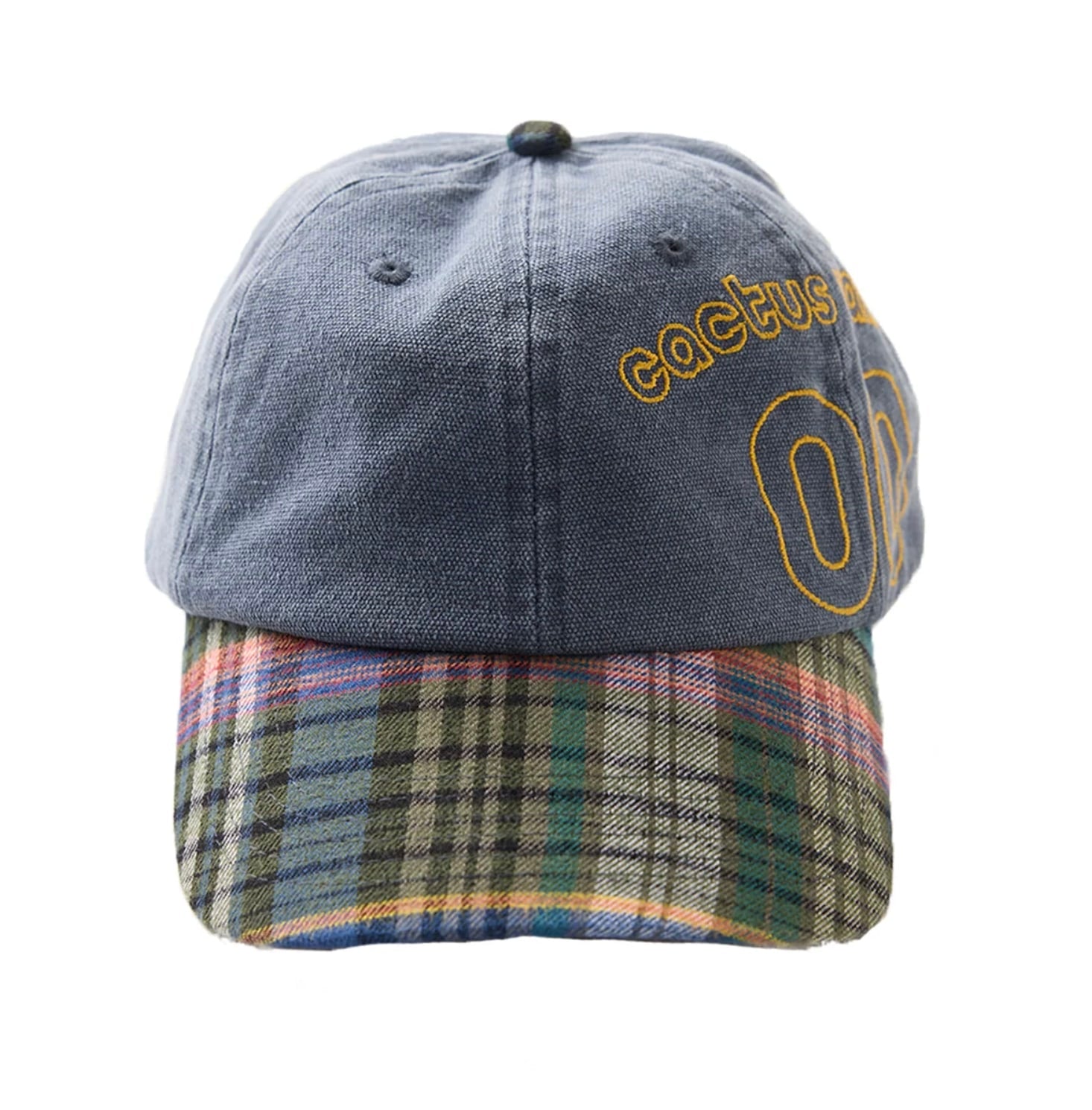 Cactus Valley Canvas Hat