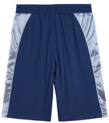 Cactus Valley Baggy Hoop Shorts - Navy