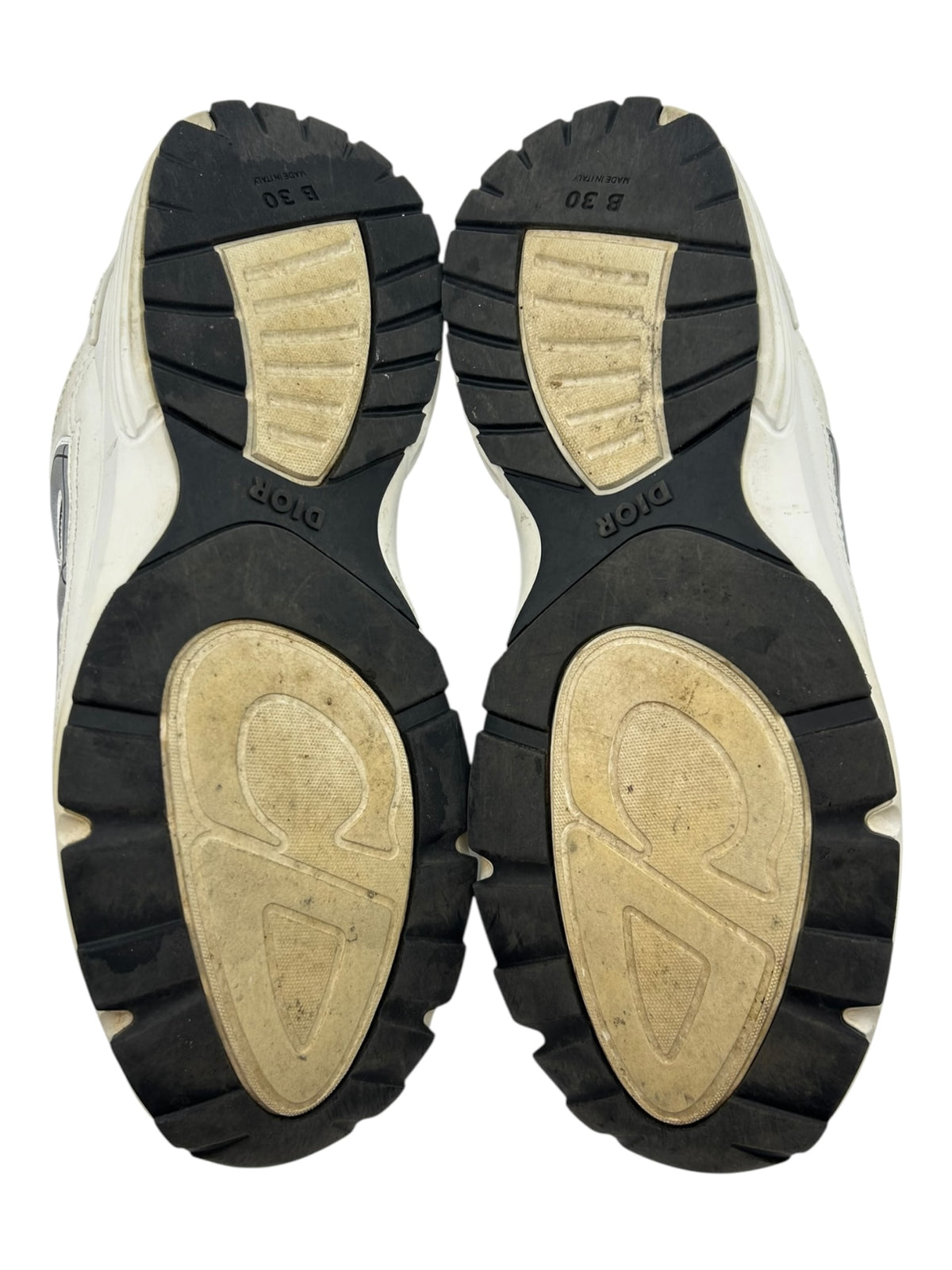 Dior B22 Sneaker White (No Insole)
