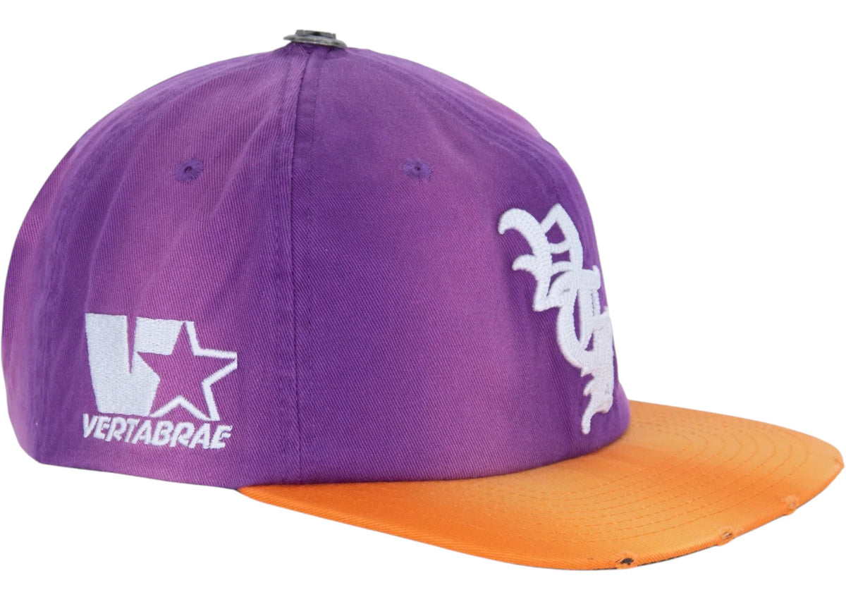 Vertabrae Logo Snapback Purp