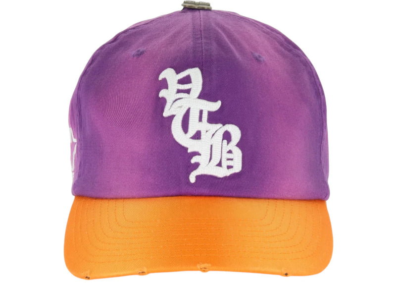 Vertabrae Logo Snapback Purp