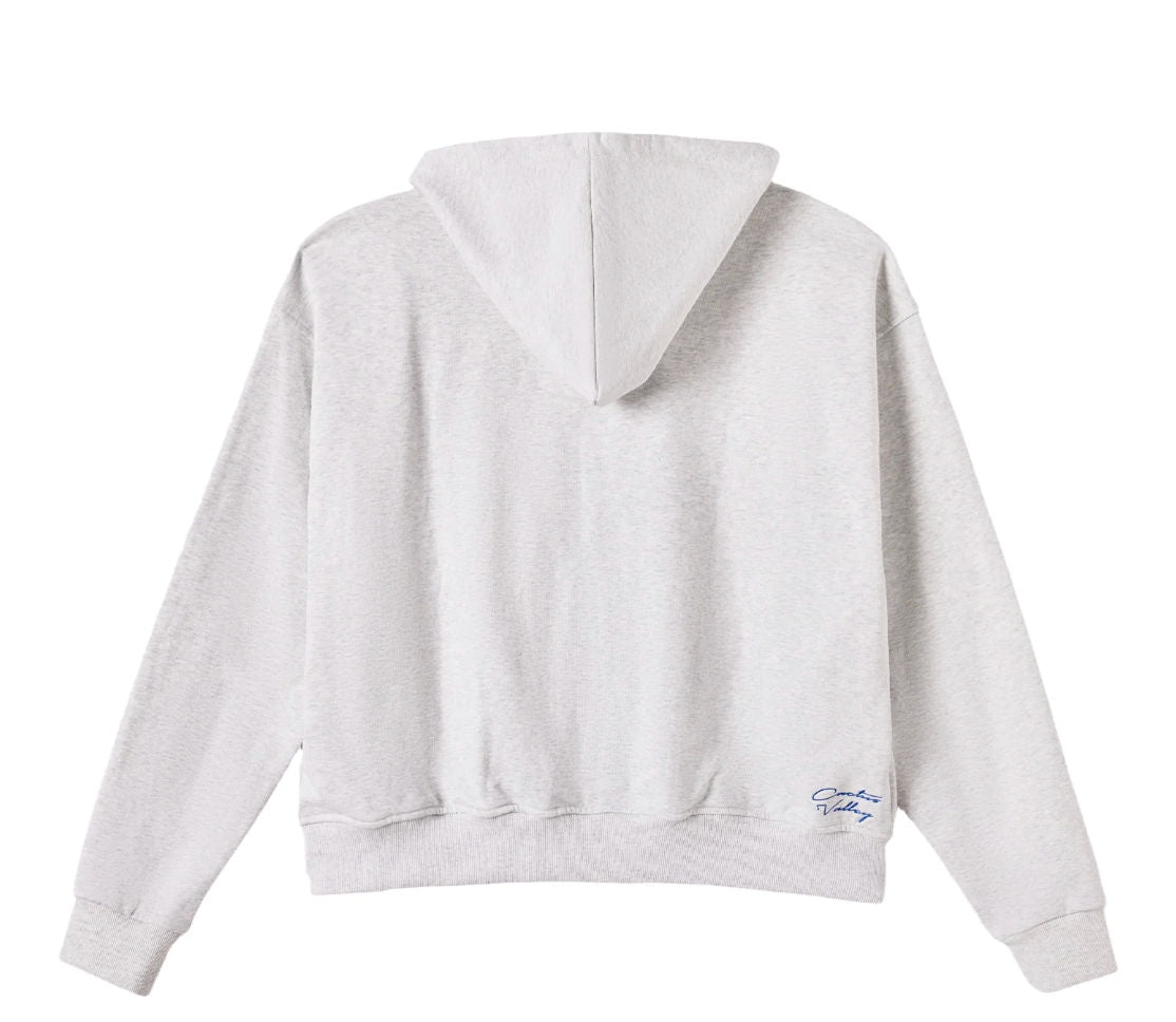 Cactus Valley Roadside Zip Hoodie Grey