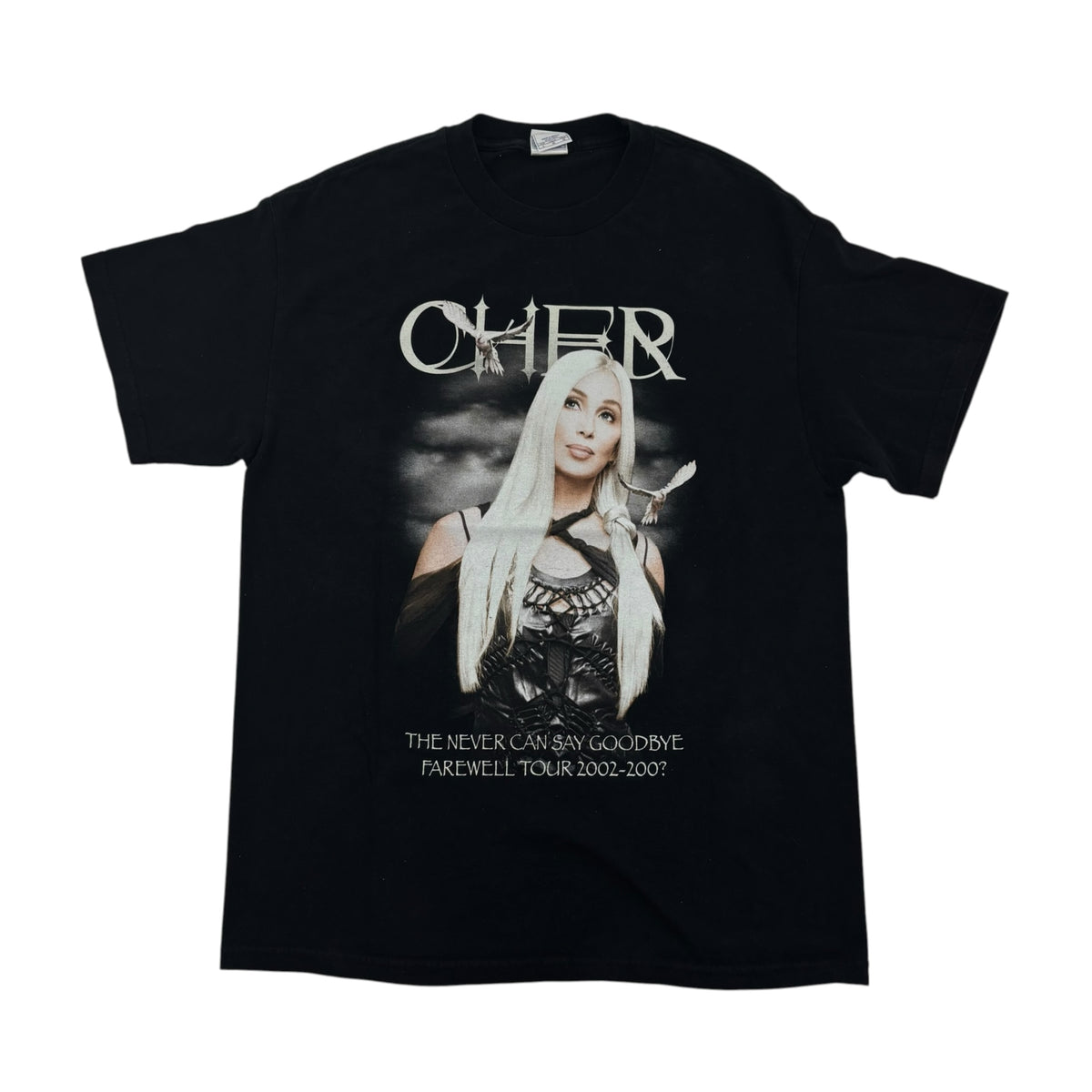 CHER Farewell Tour 2002 Never Can Say Goodbye