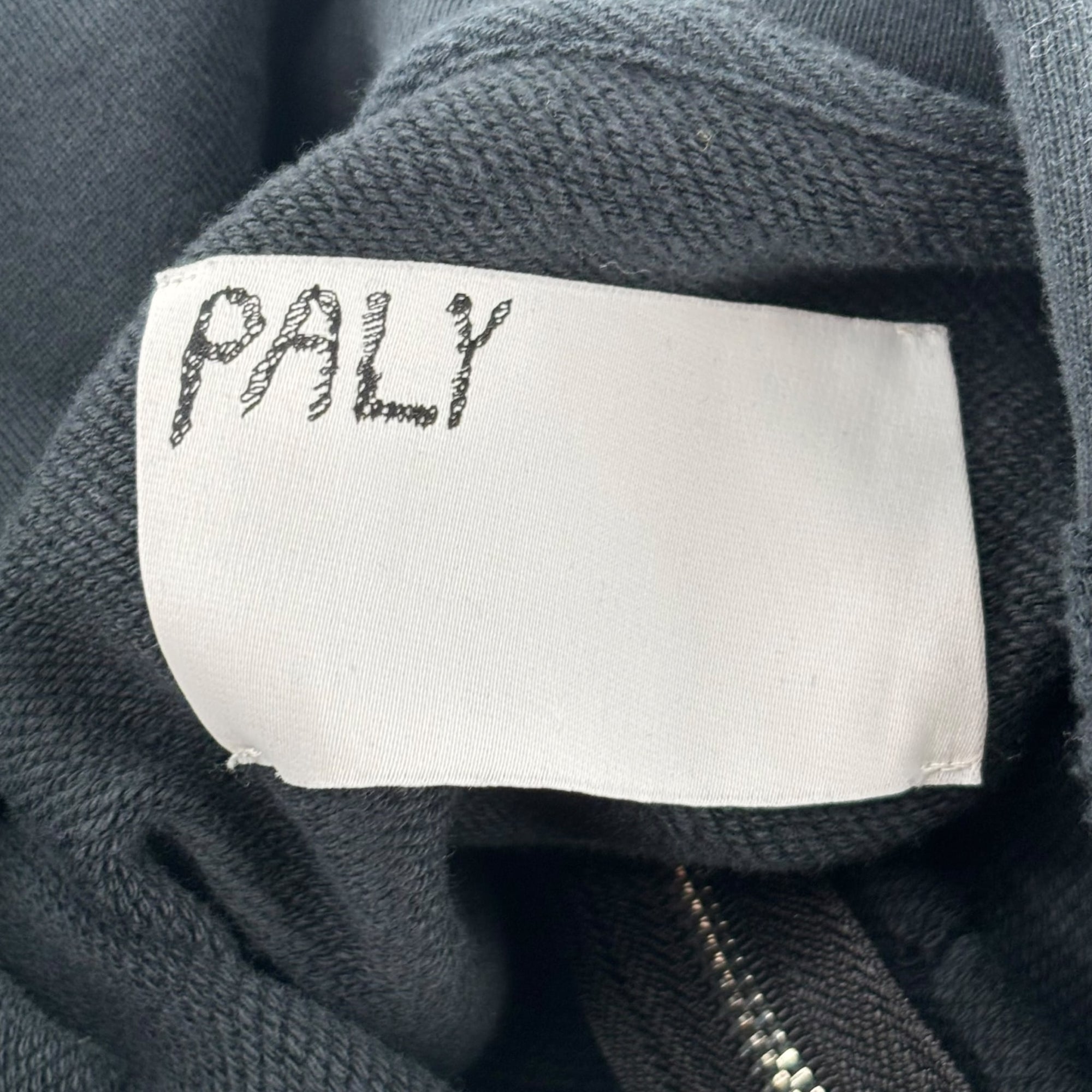 Paly Hollywood Birdman of Silver Lake Zip-Up Hoodie