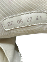 Dior B22 Sneaker White (No Insole)