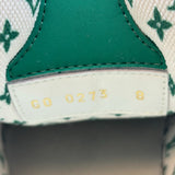 Louis Vuitton Skate Sneaker Green White