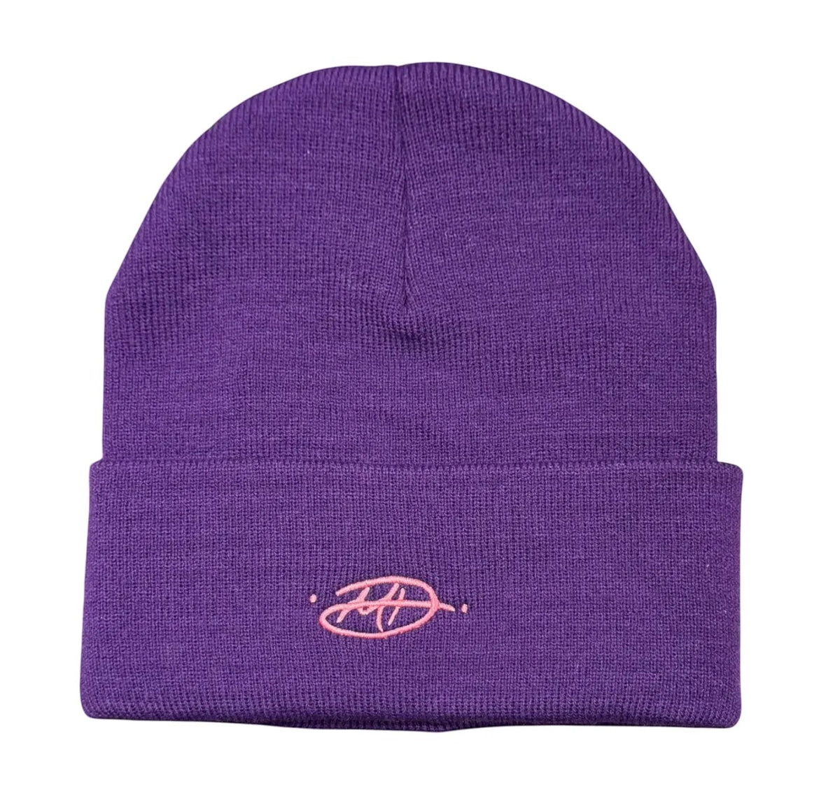 Matty Boy Anti Promo Beanie Purple