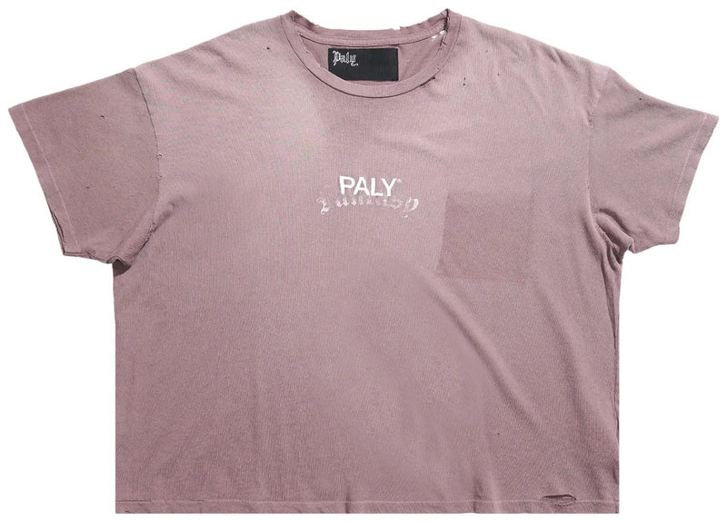 Paly Core Logo Tee Brown